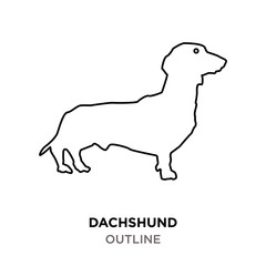 dachshund outline on white background