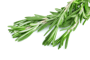 Fototapeta premium Fresh green rosemary isolated on a white background