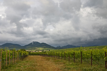 Fototapeta na wymiar Regenwolken über der Südpfalz