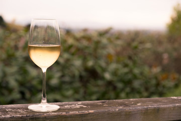 wine on fence