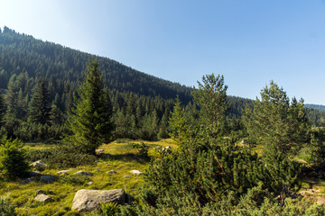 Landscape of Begovitsa River Valley, Pirin Mountain, Bulgaria
