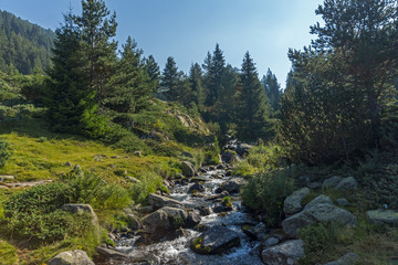 Obraz premium Landscape of Begovitsa River Valley, Pirin Mountain, Bulgaria