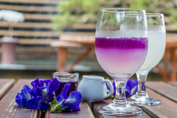 Blue Butterfly Pea Flower Tea