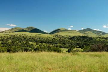 Fototapeta premium Rolling Hills