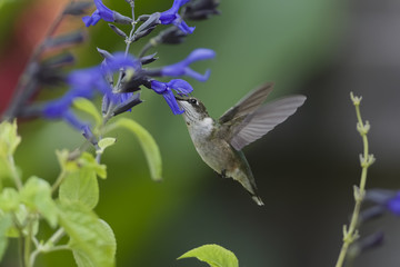 A Good Spot to Linger