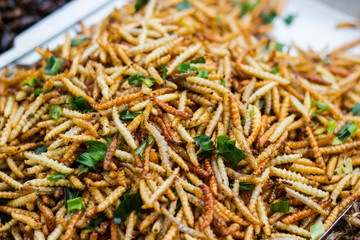 Fried insects.Thai food at the street food market. Available on the market