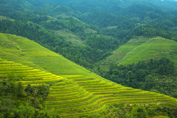 Fototapeta na wymiar Rives Terraces in Longsheng, LongJi region, China