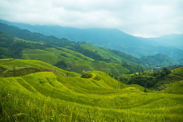 Rice Terraces in Dazai, LongJi region, China