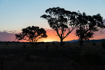 Fototapeta premium Australian sunset