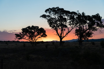 Australian sunset