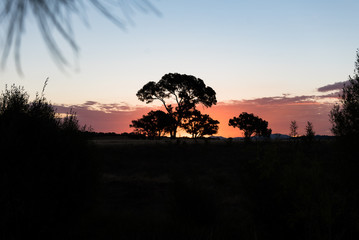 Jerrabomberra sunset