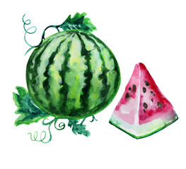 Watercolor illustration sweet watermelon