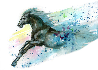 Watercolor illustration of horse. Hand drawn