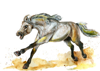 Watercolor illustration of horse. Hand drawn