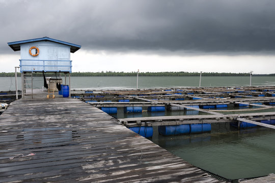 Offshore ocean open water fish farm in the tropics - Fish Farm in Asia Malaysia around Pulau Ketam