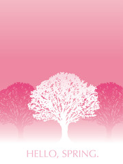 満開の桜の木の背景