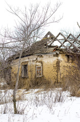 Old clay house in the Ukrainian village. Ruined clay house in the snow. The ruined clay house and the withered trees.