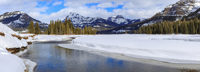 Lamar River Panorama