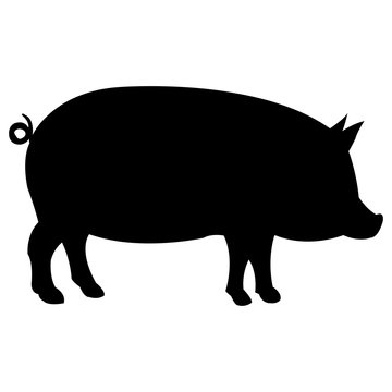 Pig Farm animal
