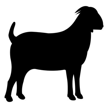 Goat black icon vector