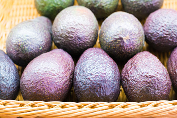 Avocado also refers to the Avocado tree's fruit, which is botanically a large berry containing a single seed. Avocados are very nutritious and contain a wide variety of nutrients.