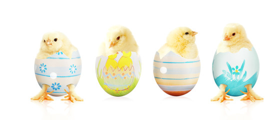 Ostern Küken Motiv