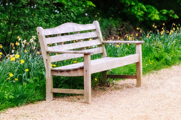 Fototapeta premium empty bench in the park