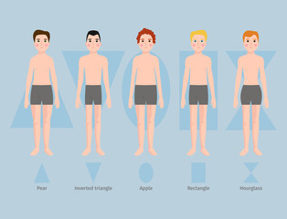Vector illustration of different body shape types characters standing beauty figure cartoon model.