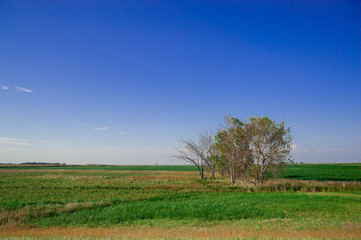 Landscape of the country side in America. America is a continent where American mainly live.