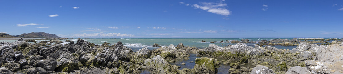 Fototapeta na wymiar Beautiful coastline in Marlborough, New Zealand.