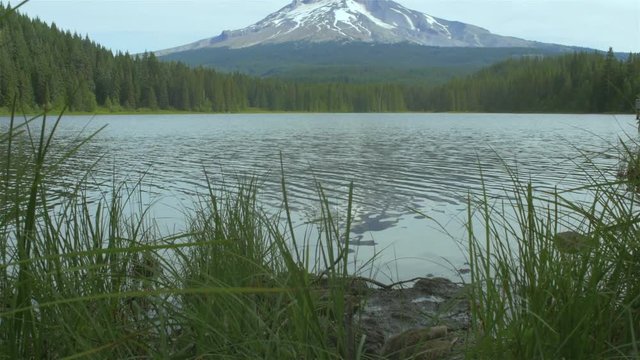 Panning shot of a lake with some ducks on the shore, and a mountain in the background