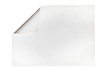 Rolled-up piece of paper with space for your text. Isolated