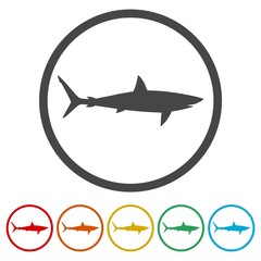 Shark sign, Shark icon, 6 Colors Included
