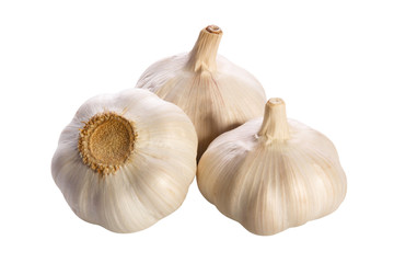 Garlic isolated on white background. three .