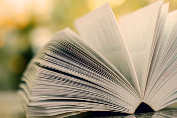 Selective focus of opened book on blurred natural green background