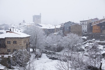 Obraz premium Nevada