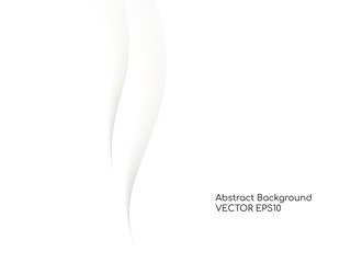 Abstract vector wavy white background with gray color smooth curves wave lines for divider line design elements or background