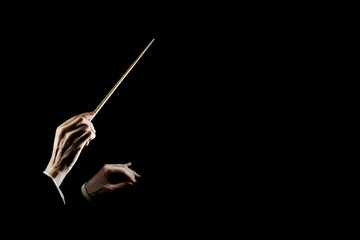 Orchestra conductor music conducting. Hands of conductor with baton - obrazy, fototapety, plakaty
