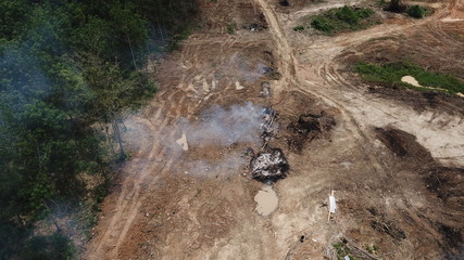 Deforestation - environmental destruction. Rainforest cuting down and burning forest trees