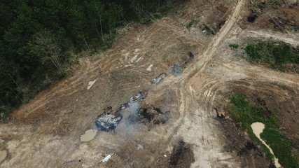 Obraz premium Deforestation - environmental destruction. Rainforest cuting down and burning forest trees
