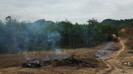 Fototapeta na wymiar Deforestation - environmental destruction. Rainforest cuting down and burning forest trees