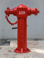 Hydrant 439
