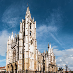 Catedral de León. Panorámica.