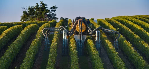 Zelfklevend Fotobehang Vineyard landscape-Spraying of grapevines-Vineyard south west of © FreeProd