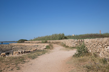 sentiero, riserva naturale orientata oasi faunistica di vendicari