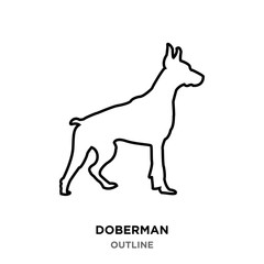 doberman outline on white background,from profile