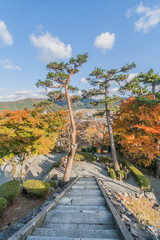 秋の丸岡城の天守からみた風景