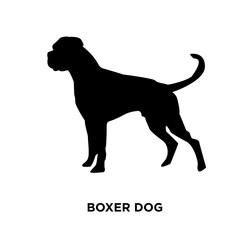 boxer dog silhouette on white background, vector illustration