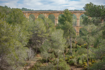 The Ferreres Aqueduct in the forest