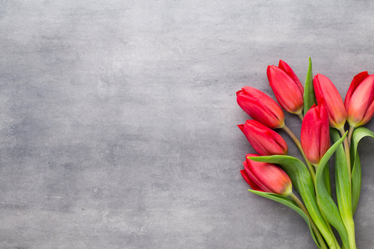 Multicolored spring flowers, tulip on a gray background.